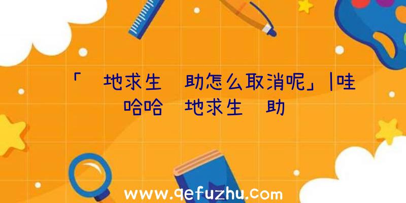 「绝地求生辅助怎么取消呢」|哇哈哈绝地求生辅助